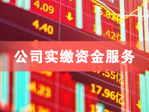 如皋公司实缴资金服务